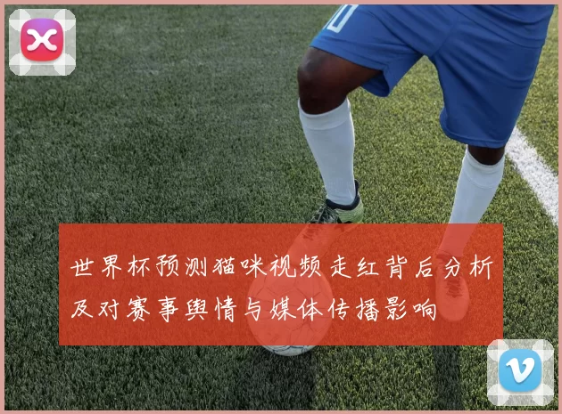 世界杯预测猫咪视频走红背后分析及对赛事舆情与媒体传播影响