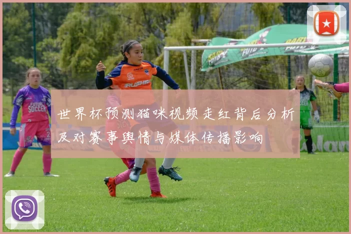 世界杯预测猫咪视频走红背后分析及对赛事舆情与媒体传播影响