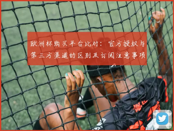 欧洲杯购买平台比对：官方授权与第三方渠道的区别及订阅注意事项