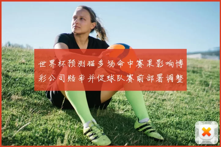 世界杯预测猫多场命中赛果影响博彩公司赔率并促球队赛前部署调整